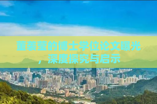 董袭莹的博士学位论文曝光，深度探究与启示