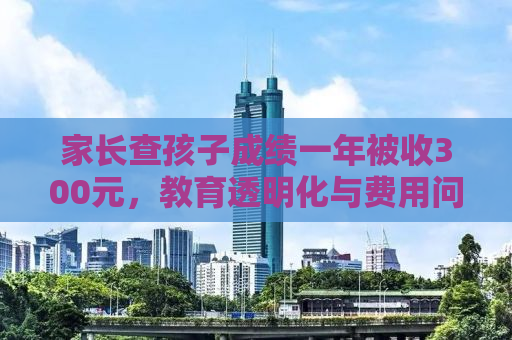 家长查孩子成绩一年被收300元，教育透明化与费用问题的思考