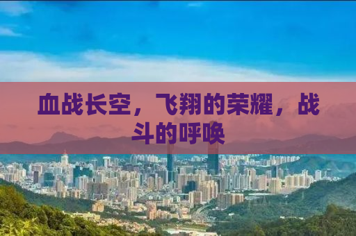 血战长空，飞翔的荣耀，战斗的呼唤