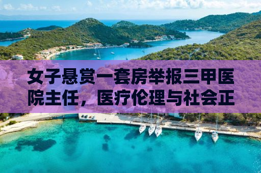 女子悬赏一套房举报三甲医院主任，医疗伦理与社会正义的较量