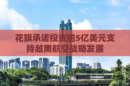 花旗承诺投资逾5亿美元支持越南航空战略发展
