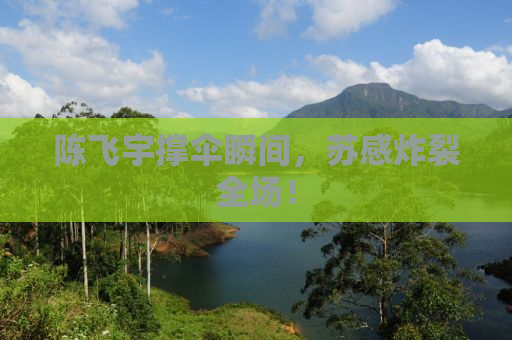 陈飞宇撑伞瞬间，苏感炸裂全场！