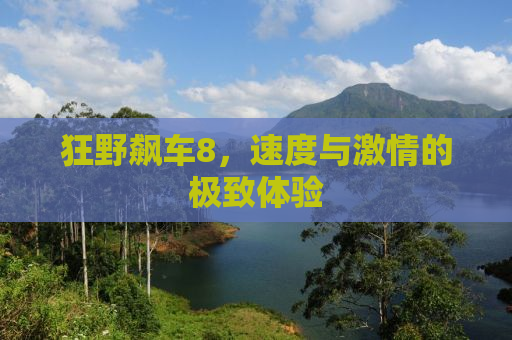 狂野飙车8，速度与激情的极致体验