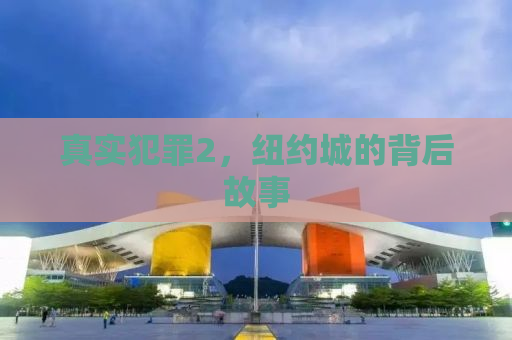 真实犯罪2，纽约城的背后故事