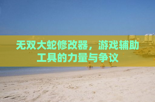 无双大蛇修改器，游戏辅助工具的力量与争议