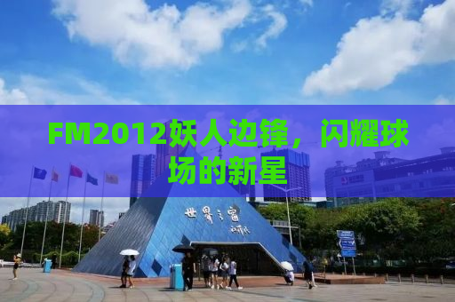 FM2012妖人边锋，闪耀球场的新星