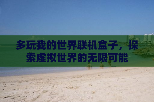 多玩我的世界联机盒子，探索虚拟世界的无限可能