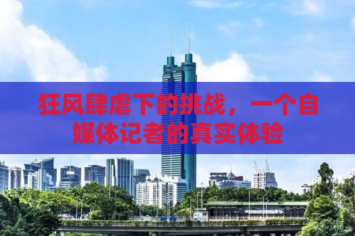 狂风肆虐下的挑战，一个自媒体记者的真实体验