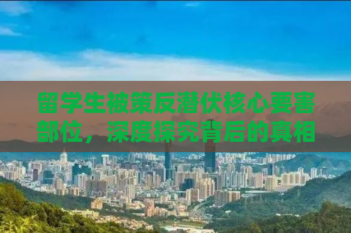 留学生被策反潜伏核心要害部位，深度探究背后的真相与启示