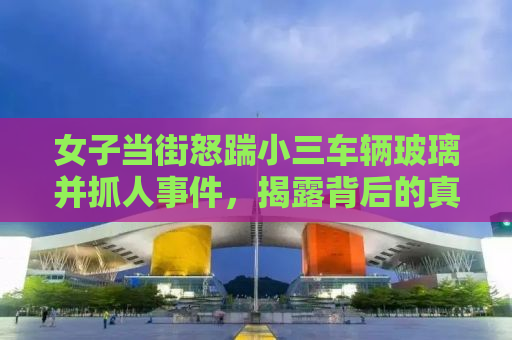 女子当街怒踹小三车辆玻璃并抓人事件，揭露背后的真相与反思