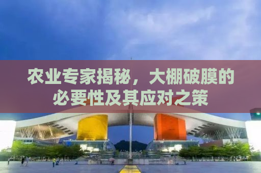 农业专家揭秘，大棚破膜的必要性及其应对之策