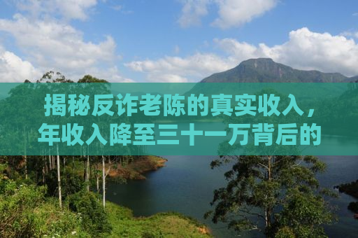 揭秘反诈老陈的真实收入，年收入降至三十一万背后的故事