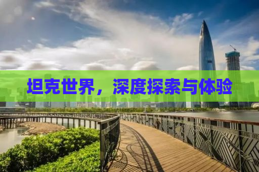 坦克世界，深度探索与体验