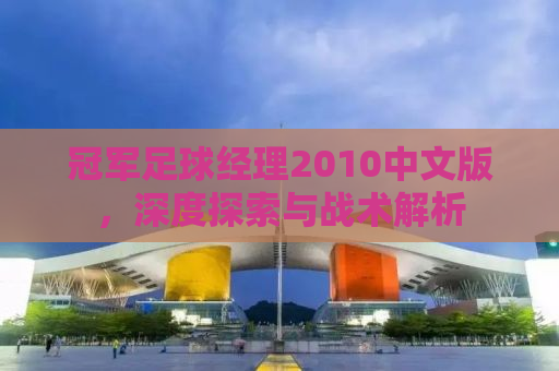 冠军足球经理2010中文版，深度探索与战术解析