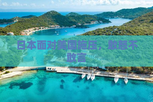 日本面对美国施压，敢怒不敢言
