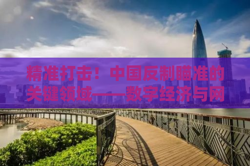 精准打击！中国反制瞄准的关键领域——数字经济与网络安全