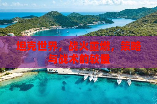 坦克世界，战火重燃，策略与战术的较量