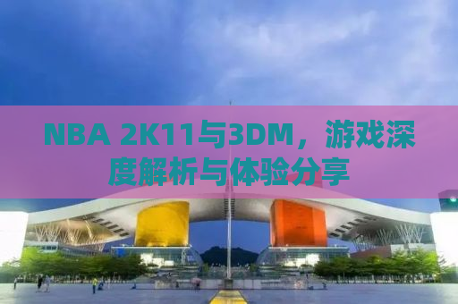 NBA 2K11与3DM，游戏深度解析与体验分享