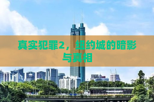 真实犯罪2，纽约城的暗影与真相