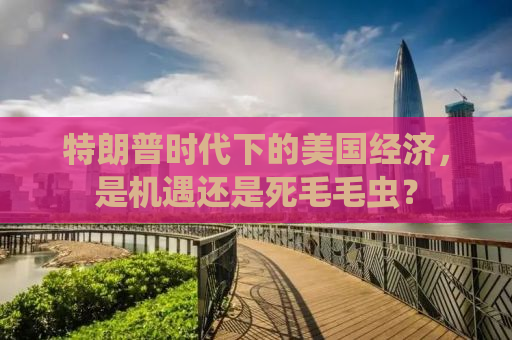 特朗普时代下的美国经济，是机遇还是死毛毛虫？