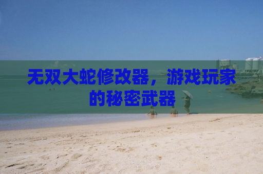 无双大蛇修改器，游戏玩家的秘密武器
