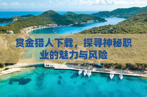 赏金猎人下载，探寻神秘职业的魅力与风险