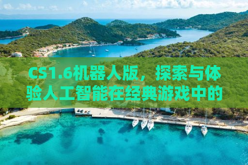 CS1.6机器人版，探索与体验人工智能在经典游戏中的新纪元