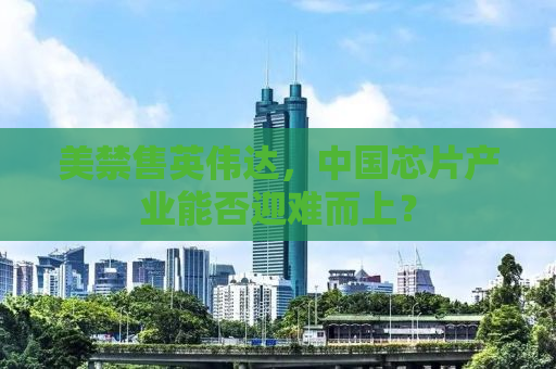 美禁售英伟达，中国芯片产业能否迎难而上？