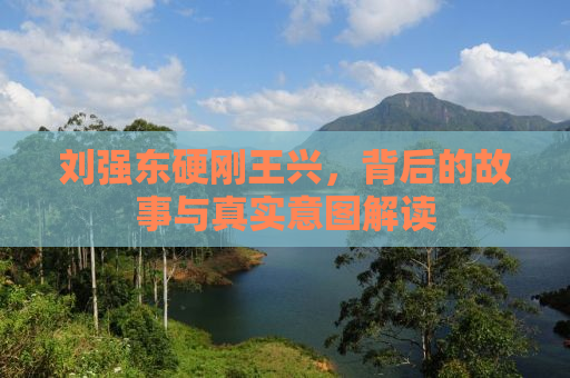 刘强东硬刚王兴，背后的故事与真实意图解读
