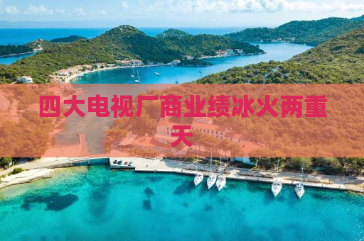 四大电视厂商业绩冰火两重天