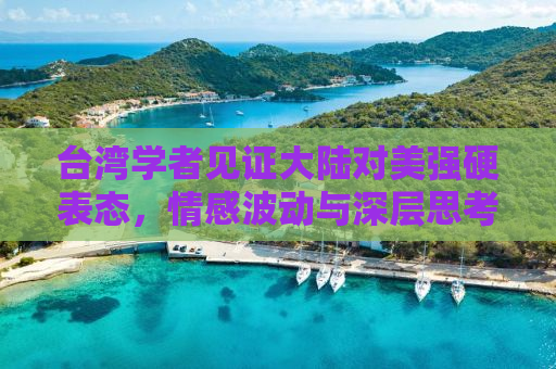 台湾学者见证大陆对美强硬表态，情感波动与深层思考