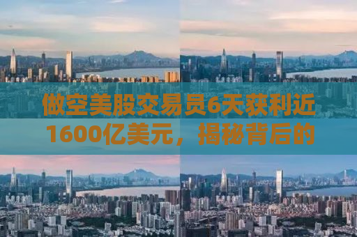 做空美股交易员6天获利近1600亿美元，揭秘背后的策略与风险