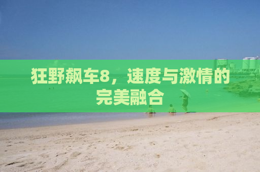 狂野飙车8，速度与激情的完美融合